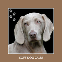Big Yawn Doggie - Dog Chill Out Music