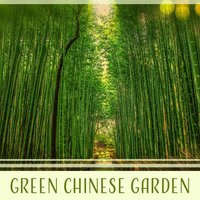 Mindfulness Meditation - Yao Shakano