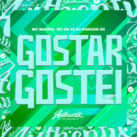 Gostar Gostei - DJ DUDUZIN ZN & MC DN 22 & Mc Mayara