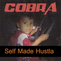 College - Cobra