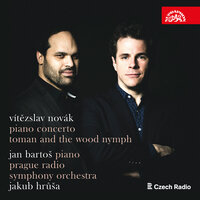 Concerto for Piano and Orchestra in E Minor: No. 2, Andante con sentimento - Prague Radio Symphony Orchestra & Jan Bartoš & Jakub Hrůša