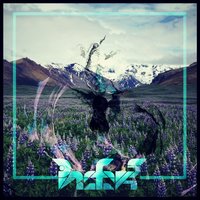 Seasons - Prefekt