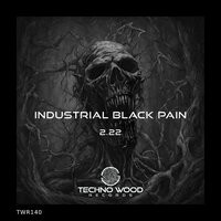 2.22 - Industrial Black Pain