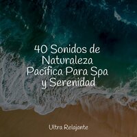Danza De Cuna - meditación Interna & Piano Relajante & Massagem Música