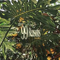 99 Reasons - Terrone & J.A.M.S