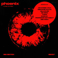 Phoenix - Funk D’Void & Johannes Volk