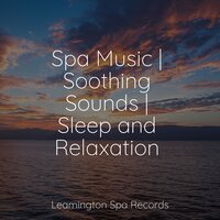 Life Renew - Academia de Relaxamento e Meditação & Lluvia & Ambient Music Therapy