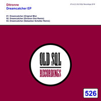 Dreamcatcher - Ditronne