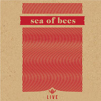 Wizbot - Sea Of Bees