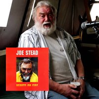 Hearts on Fire - Joe Stead