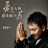 爱是人间最美丽的花 - 海来阿木