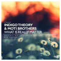 What Is Really Matter - Moti Brothers & Indigo Theory