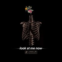 Look at Me Now - Brennan Savage