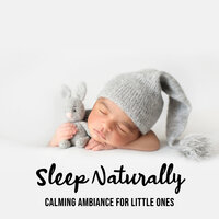 Have a Nice Dream - Baby Sleep Lullaby Academy
