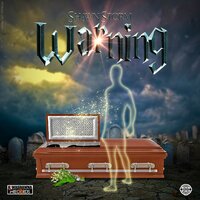 Warning - Shawn Storm