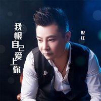 我恨自己爱上你 - 倪红