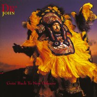 Scald Dog Medley / I Can't Go On - Dr. John