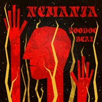 Noćni Leptiri - nemanja