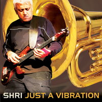 Tanpura - Shri & Marc Layton-Bennett