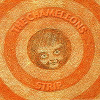 Here Today - The Chameleons