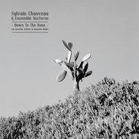 The Things You Said - Sylvain Chauveau & Ensemble Nocturne & Sylvain Chauvea