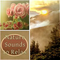 Zen Garden - Gentle Instrumental Music Paradise