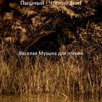Впечатление (Чтение книг) - Веселая Музыка для чтения