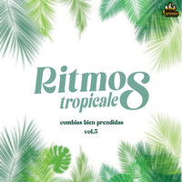 Sombrita De Cocales - Cumbia & Ritmos Tropicales