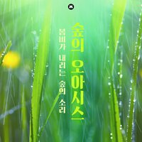 Transparent spring rain - BGM Teacher