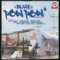 Blaze - Junior Kelly