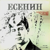 С езика на брезите - Мирослав Миндов