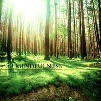 Asian Meditation Spirit - Traditional Japanese Music Ensemble