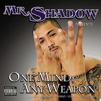Intro - Mr. Shadow
