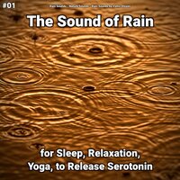 Rain Sounds to Help You Sleep - Rain Sounds & Nature Sounds & Rain Sounds by Vallis Olsson