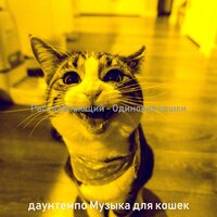 Впечатление (Одинокие кошки) - даунтемпо Музыка для кошек