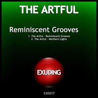 Northern Lights - The Artful