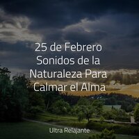 Caricia De Una Nube - Musica Relajante Para Estudiar & Meditação Yoga Maestro & Academia de Música para Massagem Relaxamento
