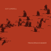 Tranorna kommer - Ulf Lundell