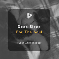 Yoga Ocean Sounds for Study - Sleep Atmospheres & Rain for Deep Sleep