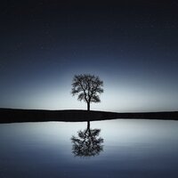 After Sunset - The Study Group