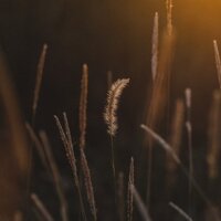 Trickling Rain - Ambientalism & Sleep Meditation Dream Catcher & Lullaby Babies