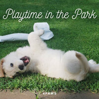 Binaural Forks for Sleep - Dog Sleep Dreams & Music for Calming Dogs & Music For Pets