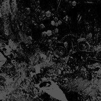 Love Under Will - Primitive Man