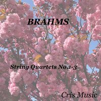 String Quartet No.2, Op.51 No.2: 3. Quasi minuetto, moderato - The Bush Quartet & Иоганнес Брамс