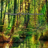 Ветер в деревьях - Nature Sounds Nature Music