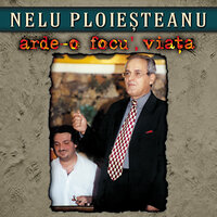 Anicuța neichii dragă - Nelu Ploiesteanu
