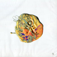 Peuple fossile - Pion