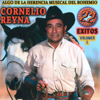 Soy Virgencita - Cornelio Reyna