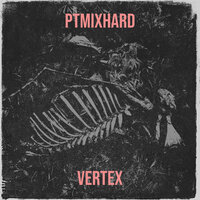PTmixHard - Vertex