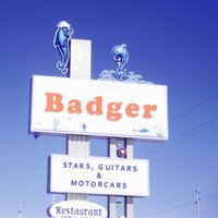 Headlock End - Badger